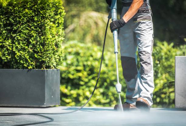 Best Driveway Cleaning and Restoration in Neshanic Station, NJ